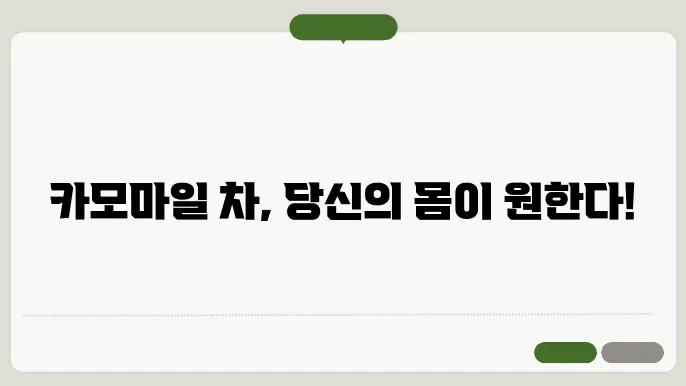 카모마일 차 차우