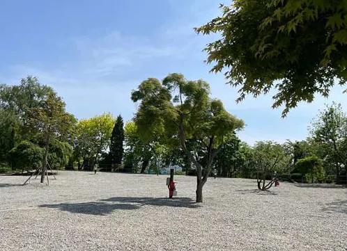 파이브이모션 관광농원 용인