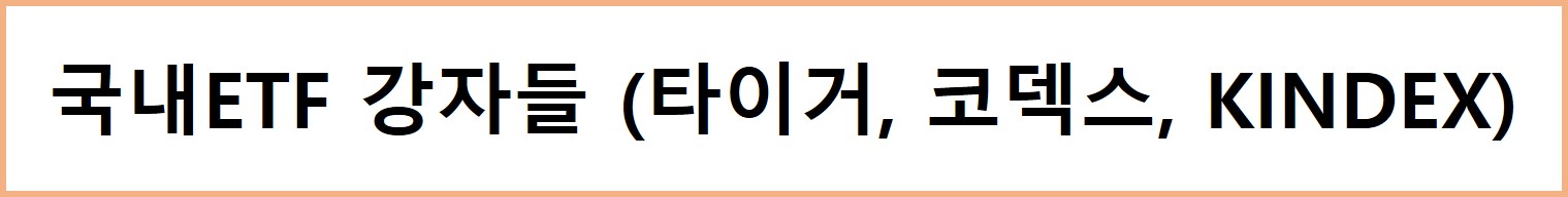 국내ETF 강자들 (타이거, 코덱스, KINDEX) 관련 그림