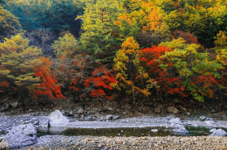 삼척 덕풍계곡