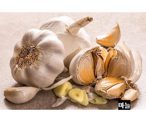 몸에 좋은 마늘