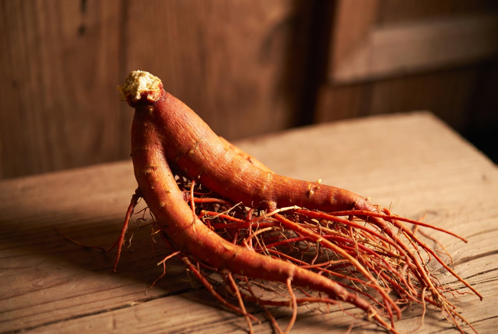홍삼효능 A형독감 면역력강화 울산과기원 독감예방