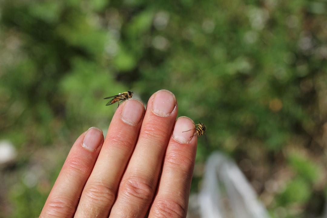 Insect bite treatment