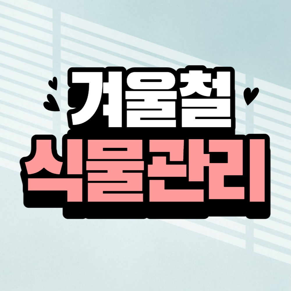 겨울철 식물관리 방법