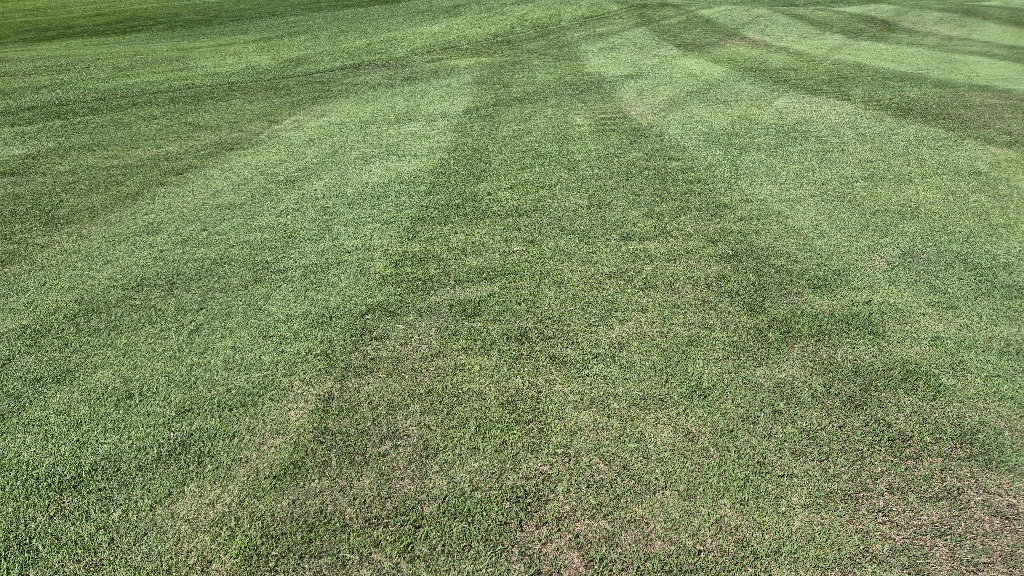 SG 아름다운cc 라운드 후기