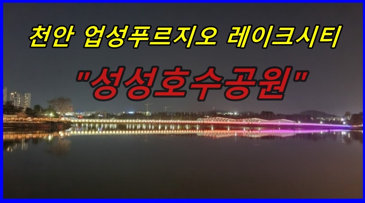 성성호수공원과 천안 업성푸르지오 레이크시티 야경