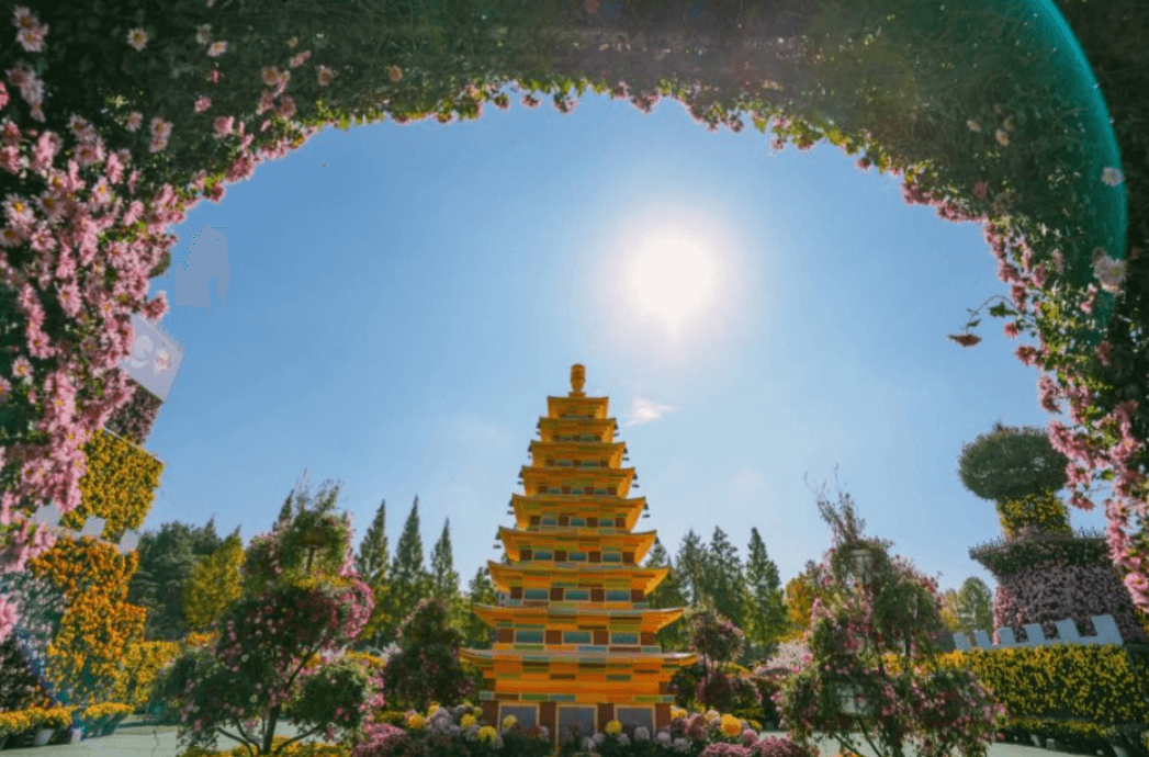 익산천만송이국화축제