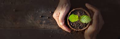 한국보건복지인력개발원 의무교육