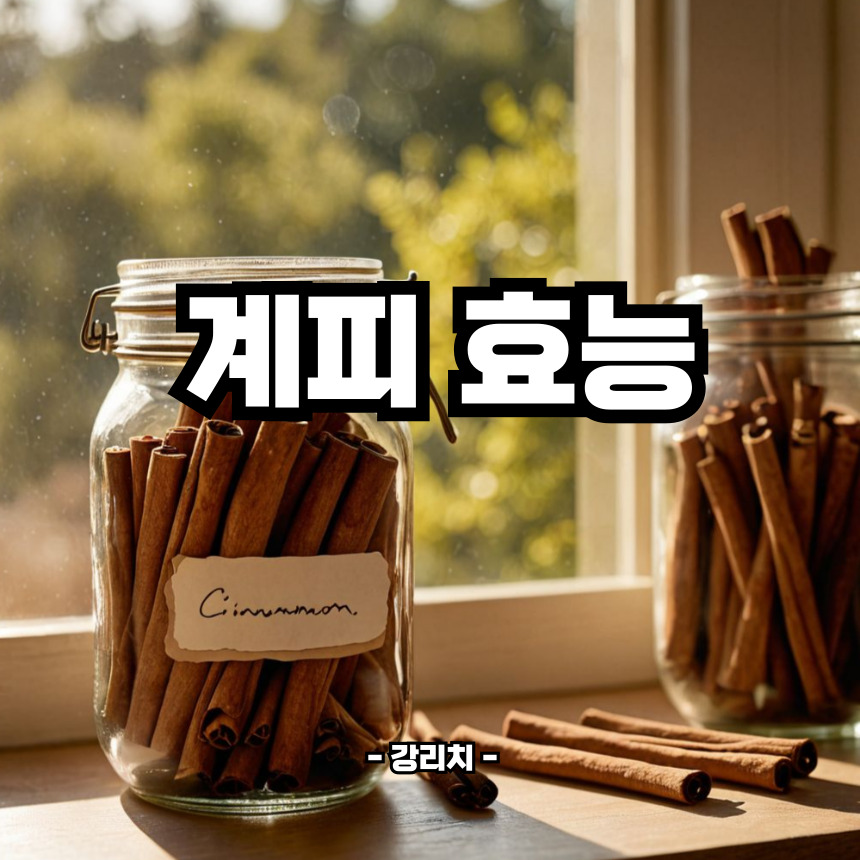 계피 효능