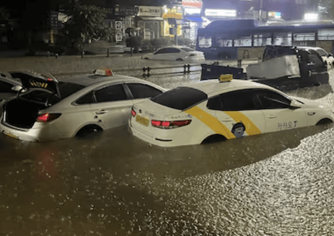 호우 피해 특별교부세