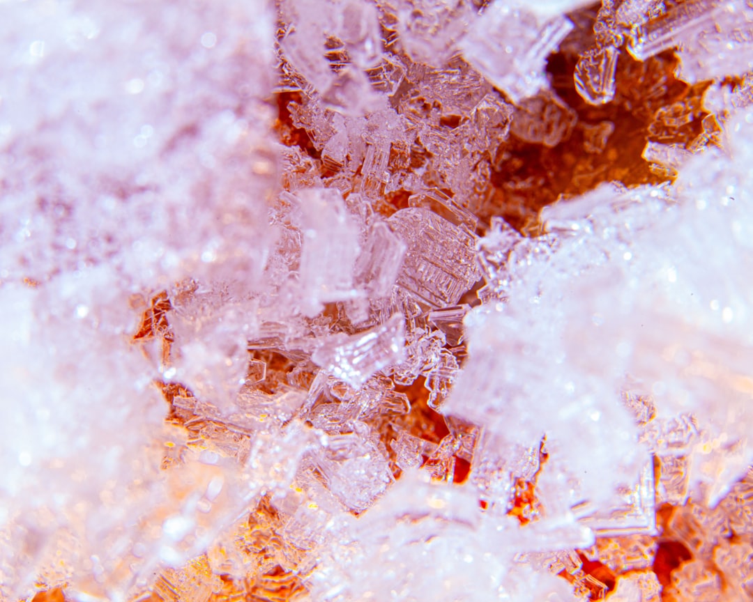 Ice maker