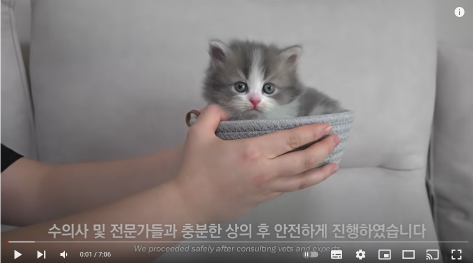 나는 태어난 지 30일 된 먼치킨 새끼다 [애니멀봐 나새끼 26호]