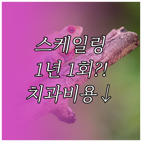 건강보험 스케일링: 연 1회 급여 횟..