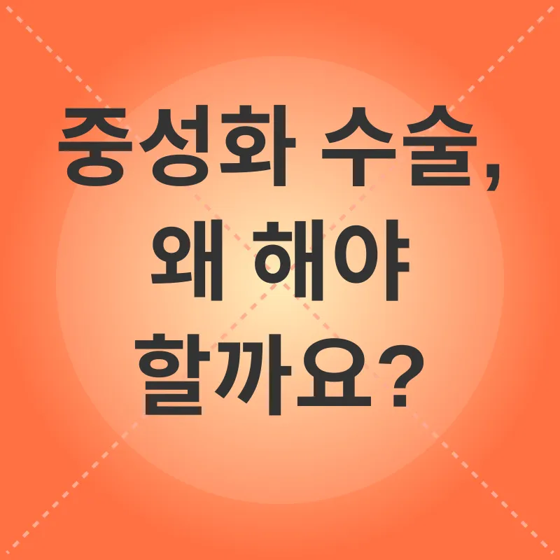 고양이 중성화 수술_1