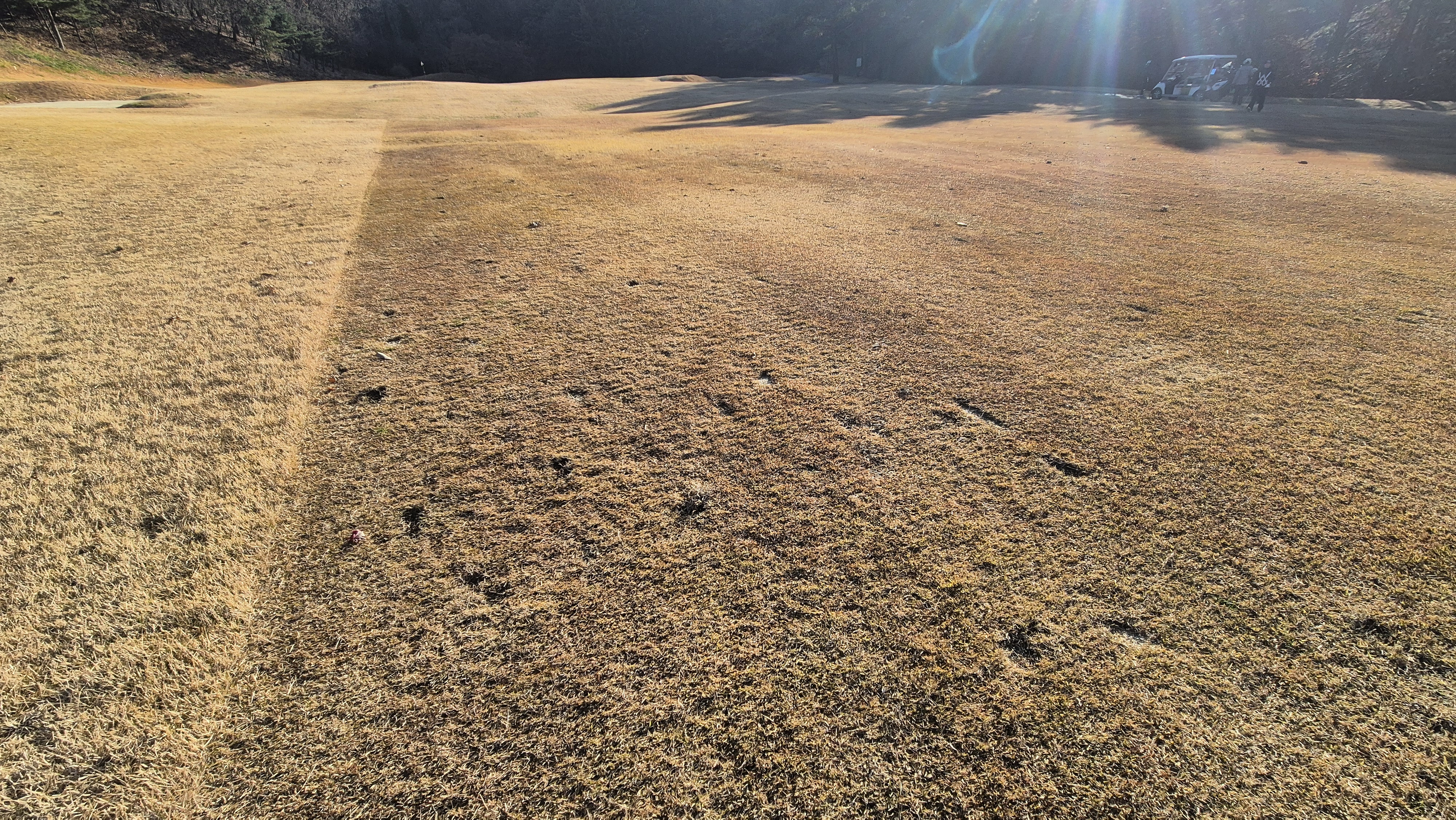 88cc 서코스 라운드 코스관리상태