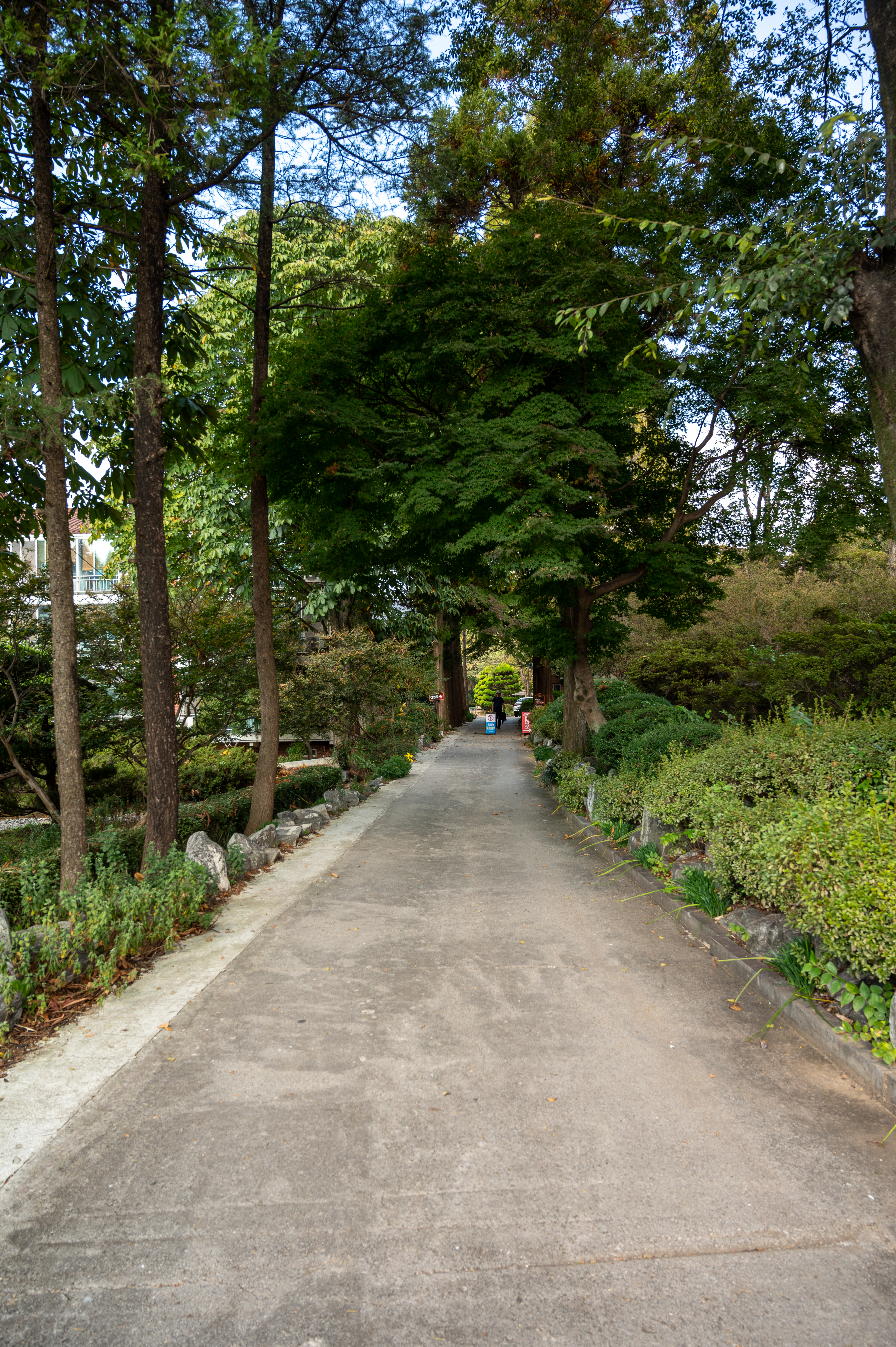 ์๊ฐํ ์ ์