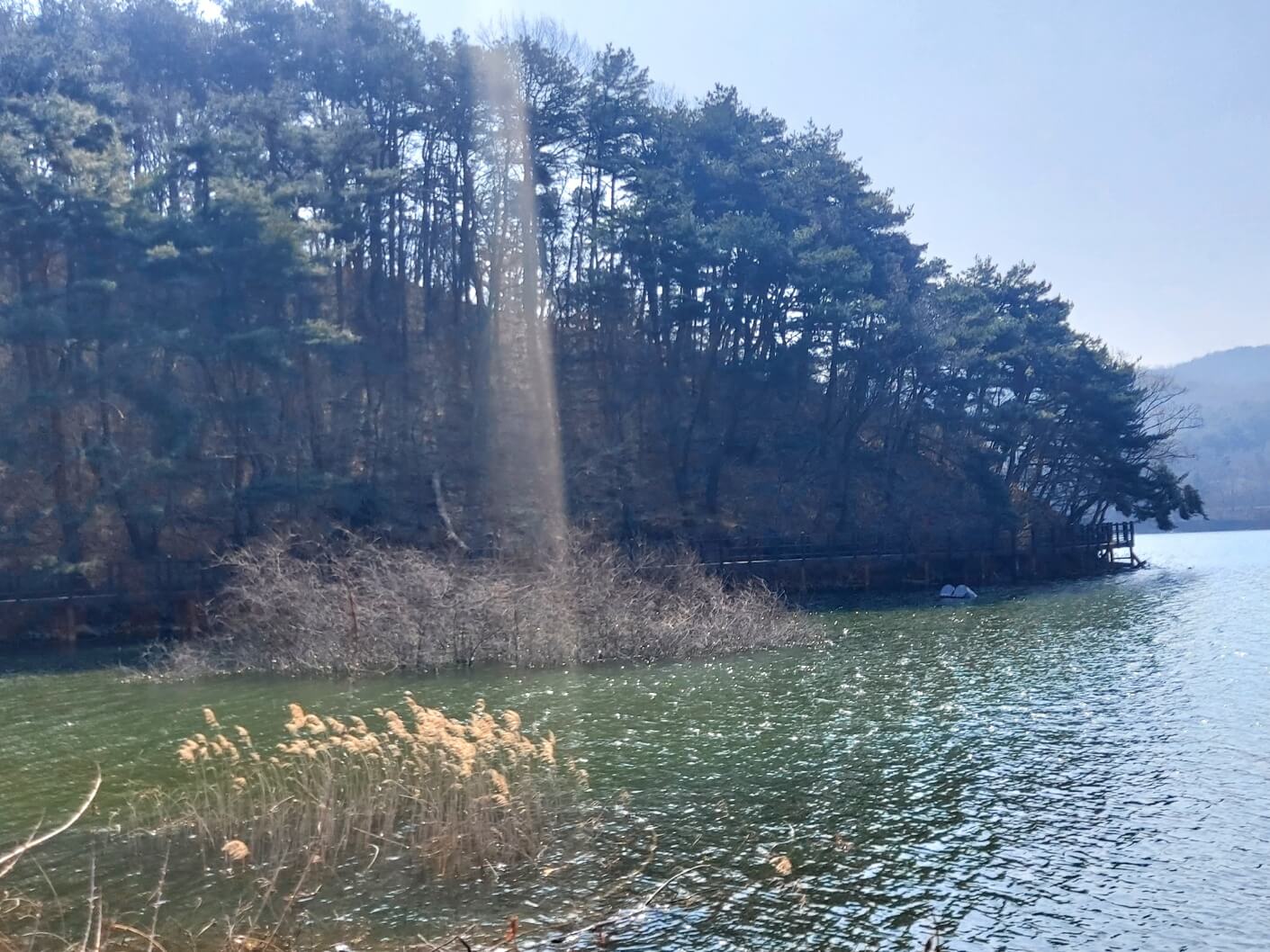 소상공인 카드수수료 지원금 신청방법 [안성시편]