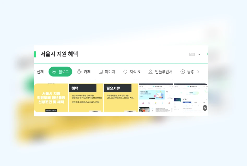 서울시 지원 혜택_1_subsection