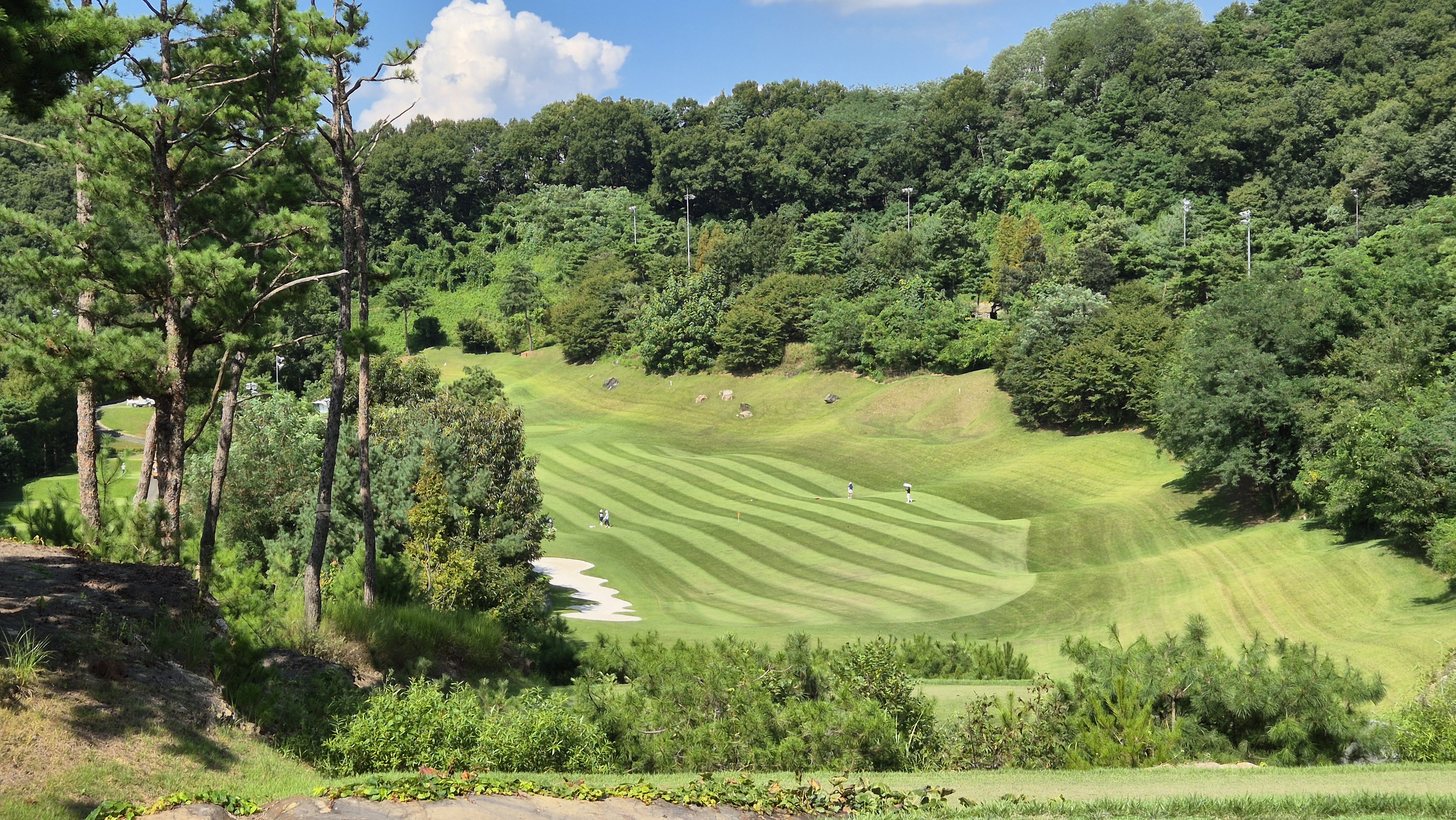 대영힐스cc 청-력 코스 사진 및 공략 정보