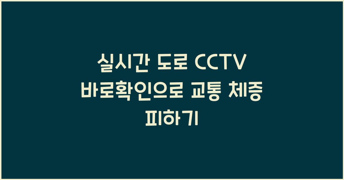 실시간 도로 cctv 바로확인