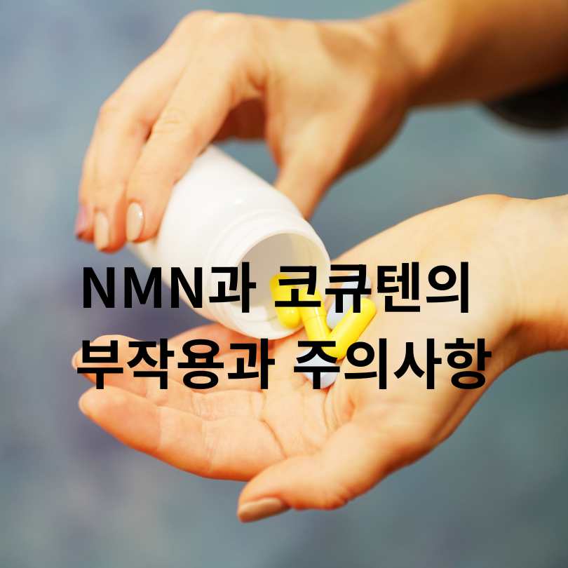 40대 이후 꼭 먹어야 할 노화방지 영양제 비교: NMN과 코큐텐