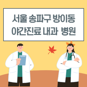 송파구 방이동 야간진료 내과 병원 리스트 (18시 이후 늦게까지하는 병원)