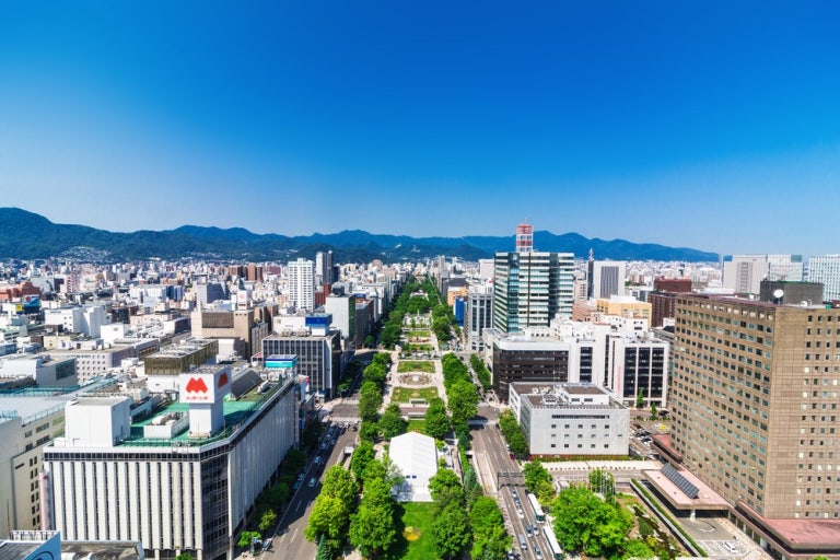 일본 사포로 전경