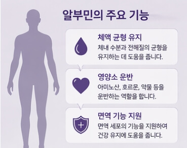알부민 부족증상