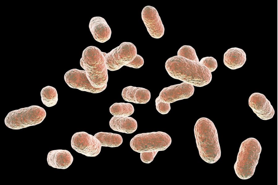 세균막(바이오 필름)을 주제로 글을 쓰게 된 개인적인 이유