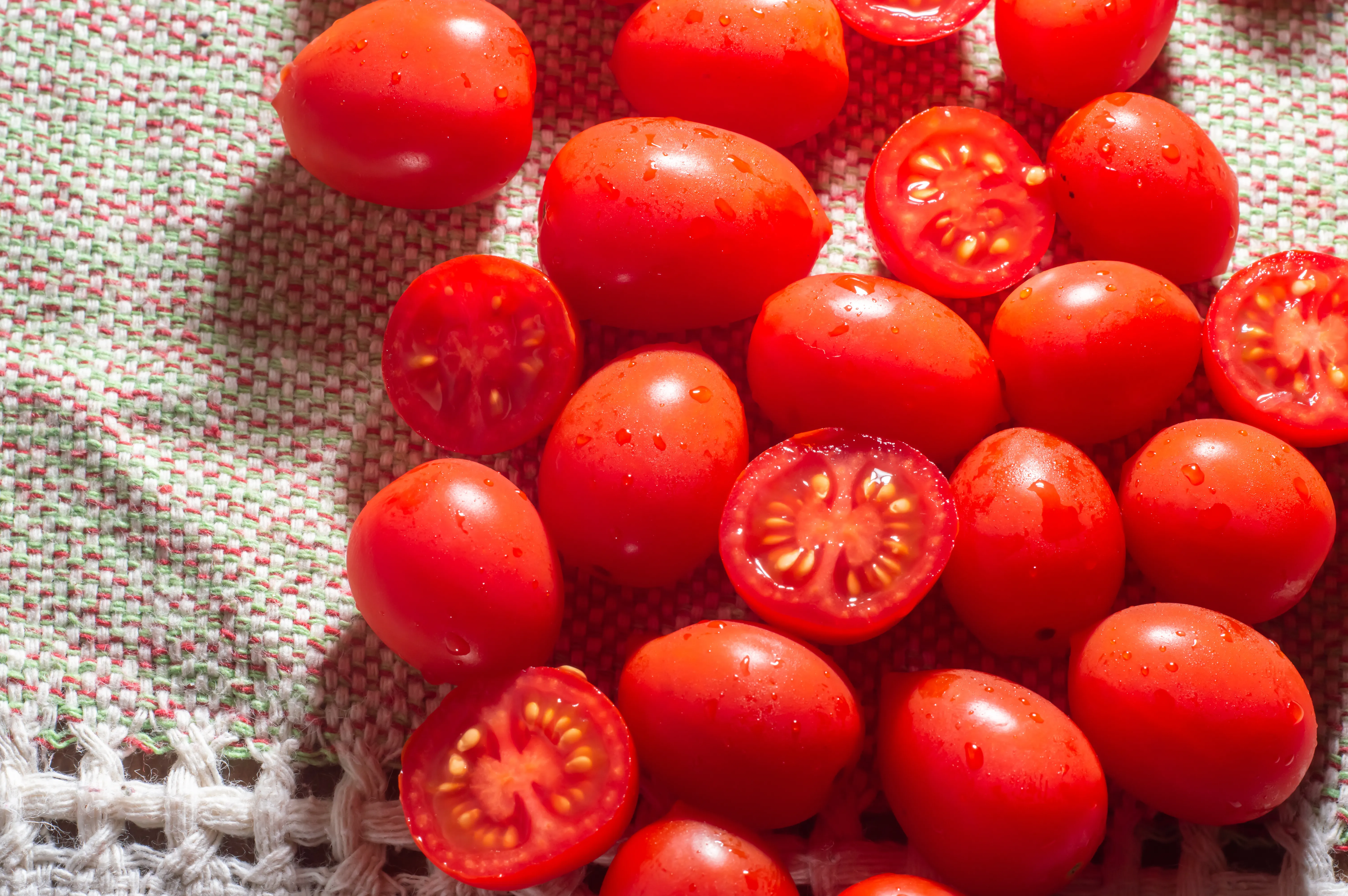 라이코펜이-특히-풍부한-방울토마토는-전립선에-좋다