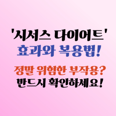 시서스 다이어트