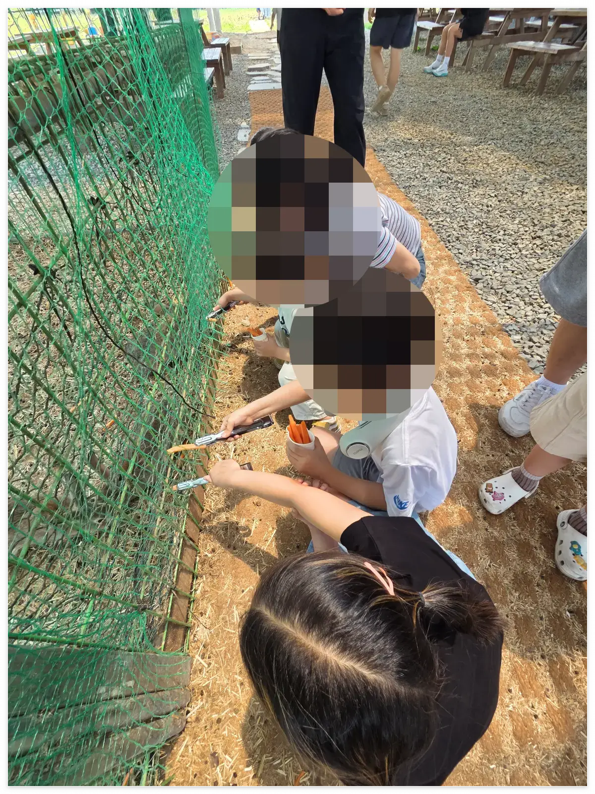 토끼 축사