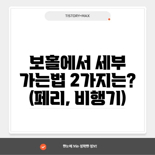 보홀에서 세부 가는법 2가지는? (페리, 비행기)