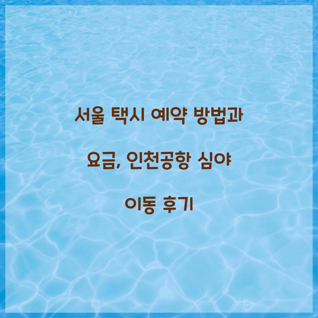 서울 택시 예약