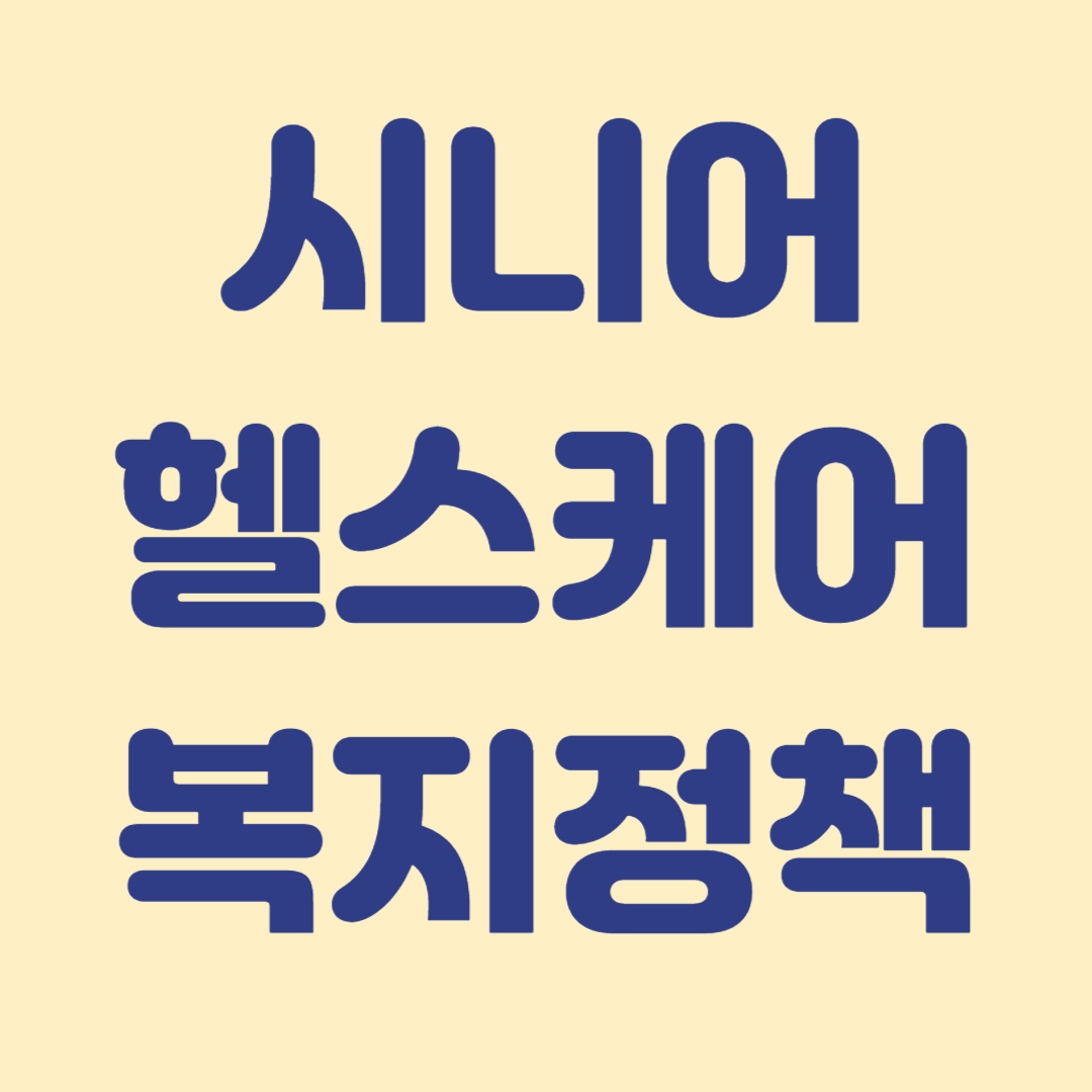 시니어 정책 총정리