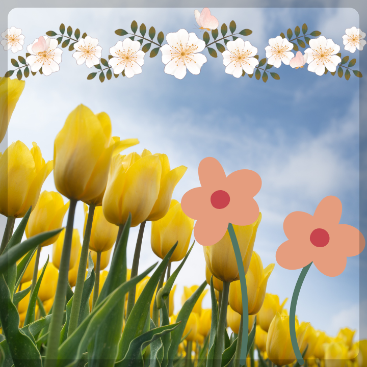 카멜리아힐-입장료