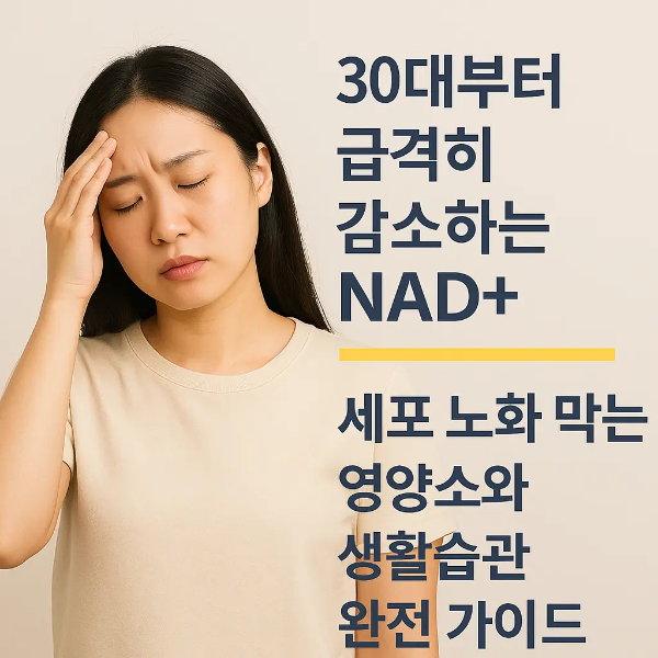 NAD+ 감소로 피로를 느끼는 한국인 여성 이미지