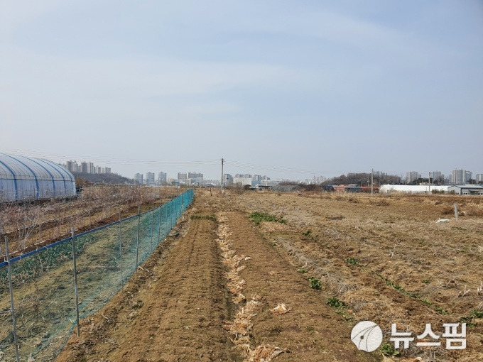 토지거래허가구역 토지 규제 관련 과거 참고사진