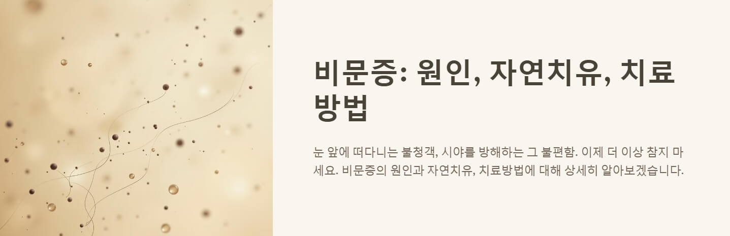 비문증 원인 자연치유 치료방법