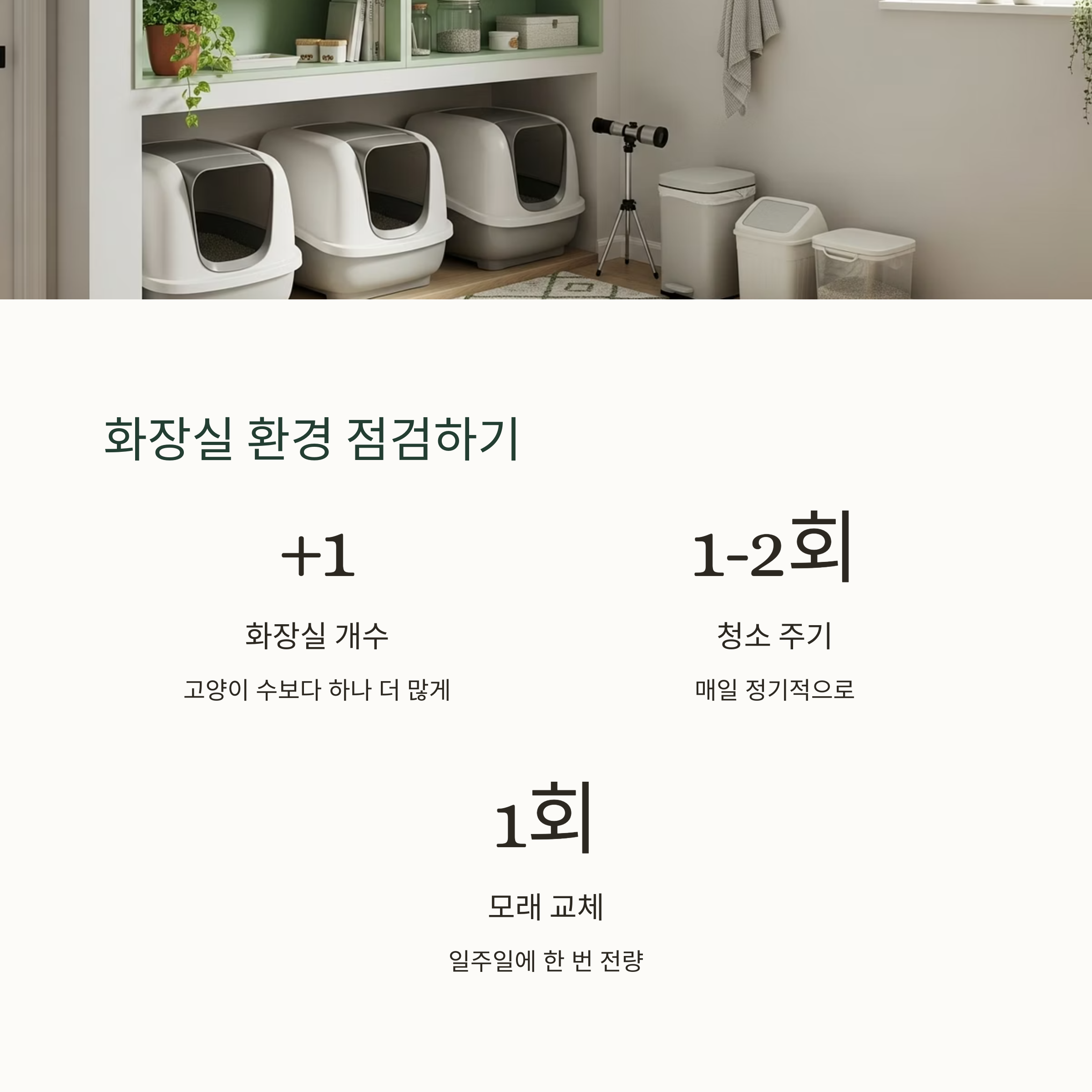 화장실 환경 점검하기