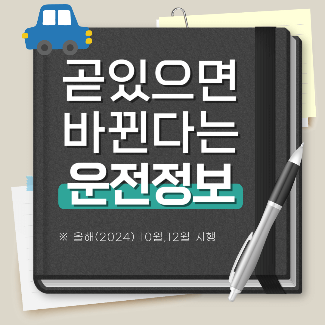시행개정안