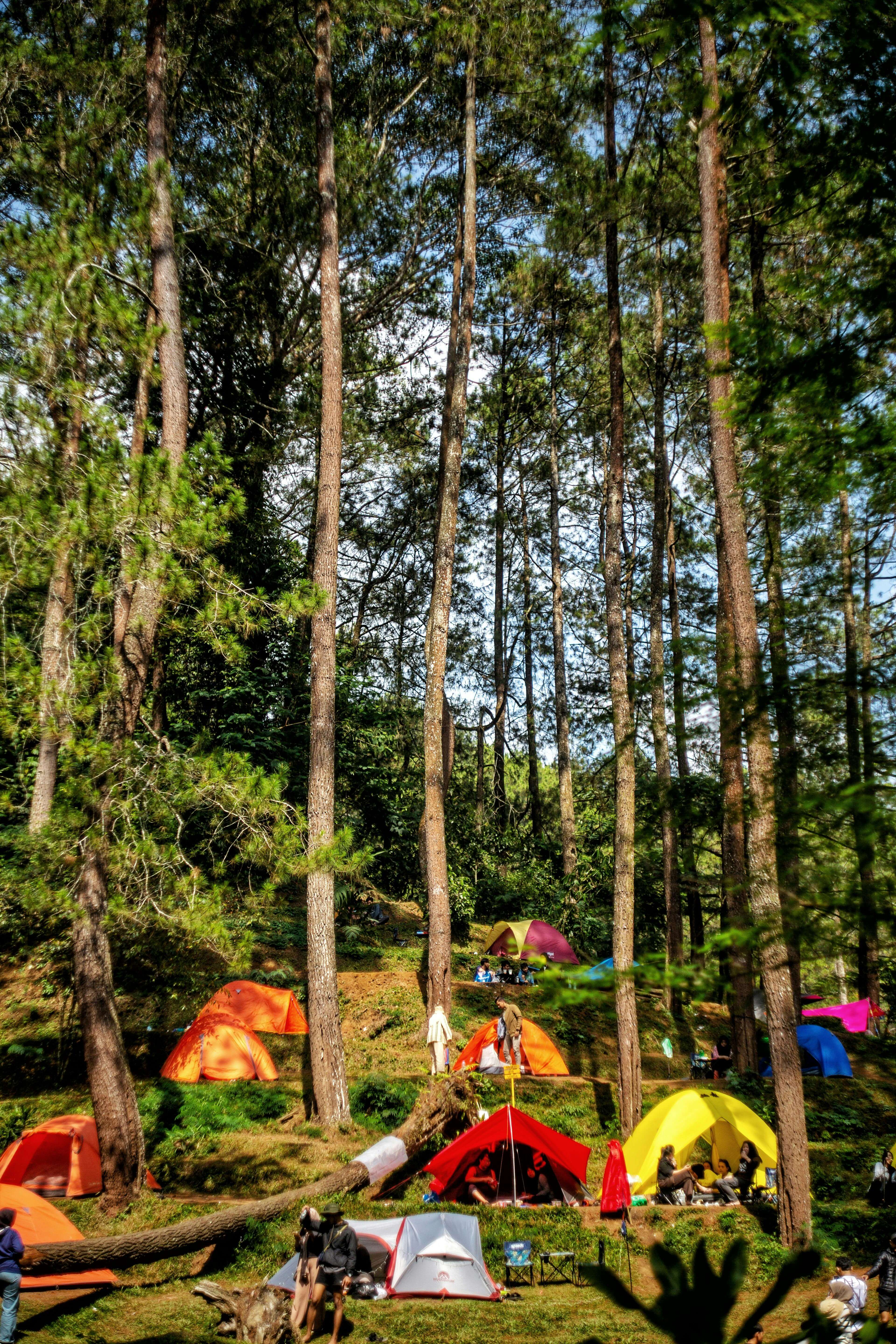 국립검봉산자연휴양림