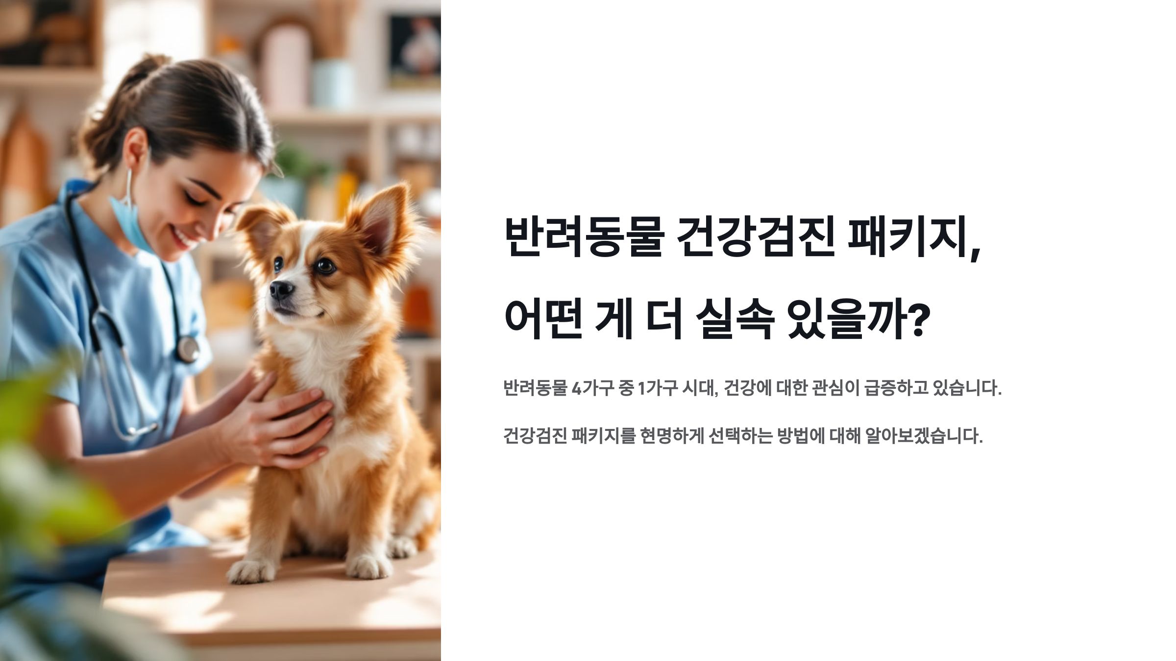 반려동물 건강검진 패키지, 어떤 게 더 실속 있을까?