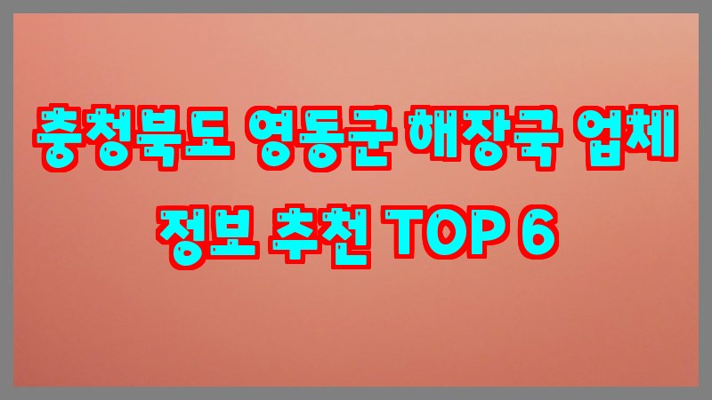 충청북도 영동군 해장국