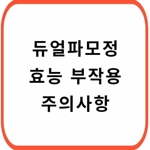듀얼파모정-썸네일
