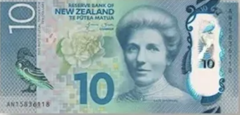 뉴질랜드 환율 환전 화폐단위