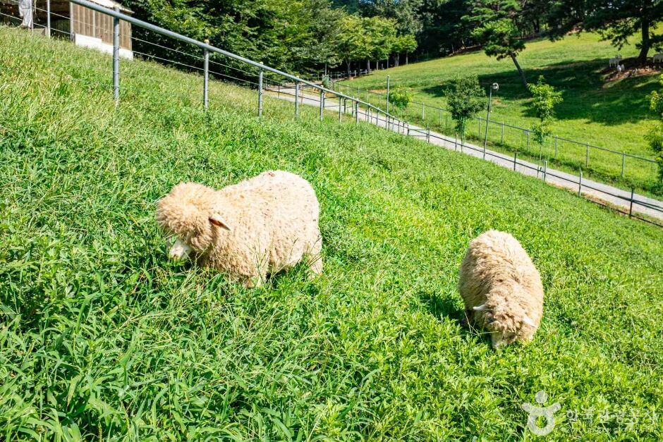 칠곡 가볼만한곳 베스트 10