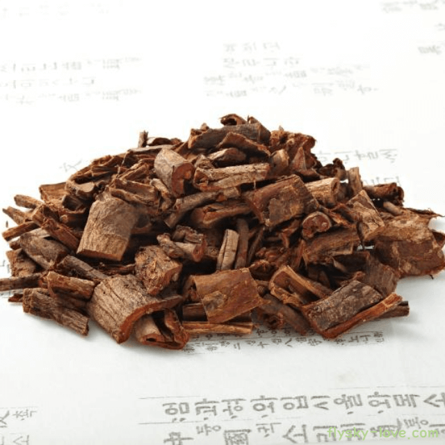 느릅나무껍질 유근피 효능