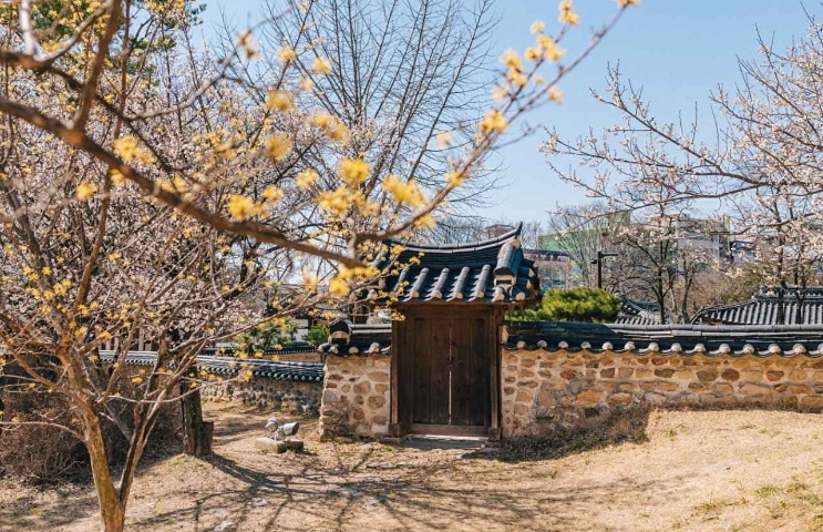 단아한 지붕 곡선과 절제미가 느껴지는 동춘당