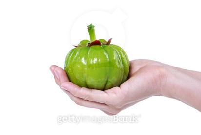 가르시니아 hca 자주 묻는 질문